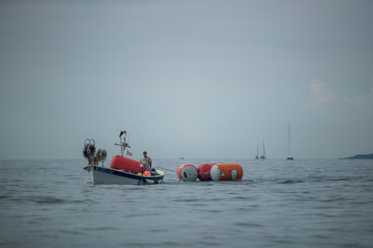 Régates Royales 2020