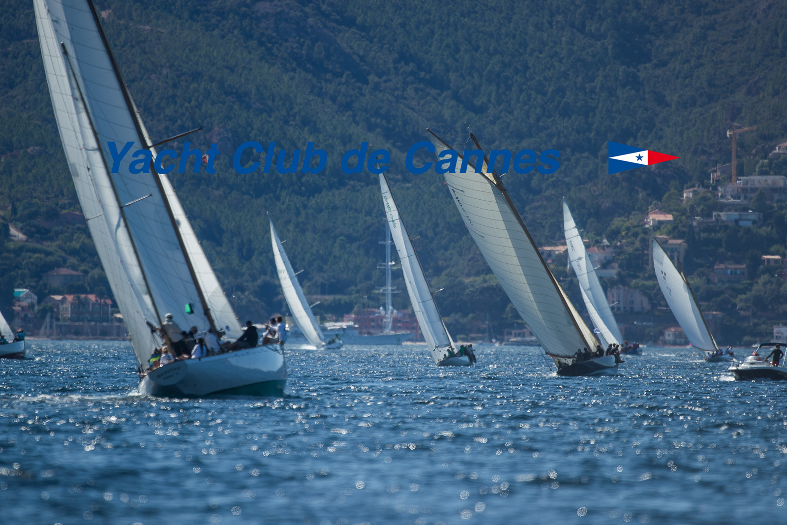 Régates Royales 2020