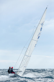 Armistice Cup Dragon 2022