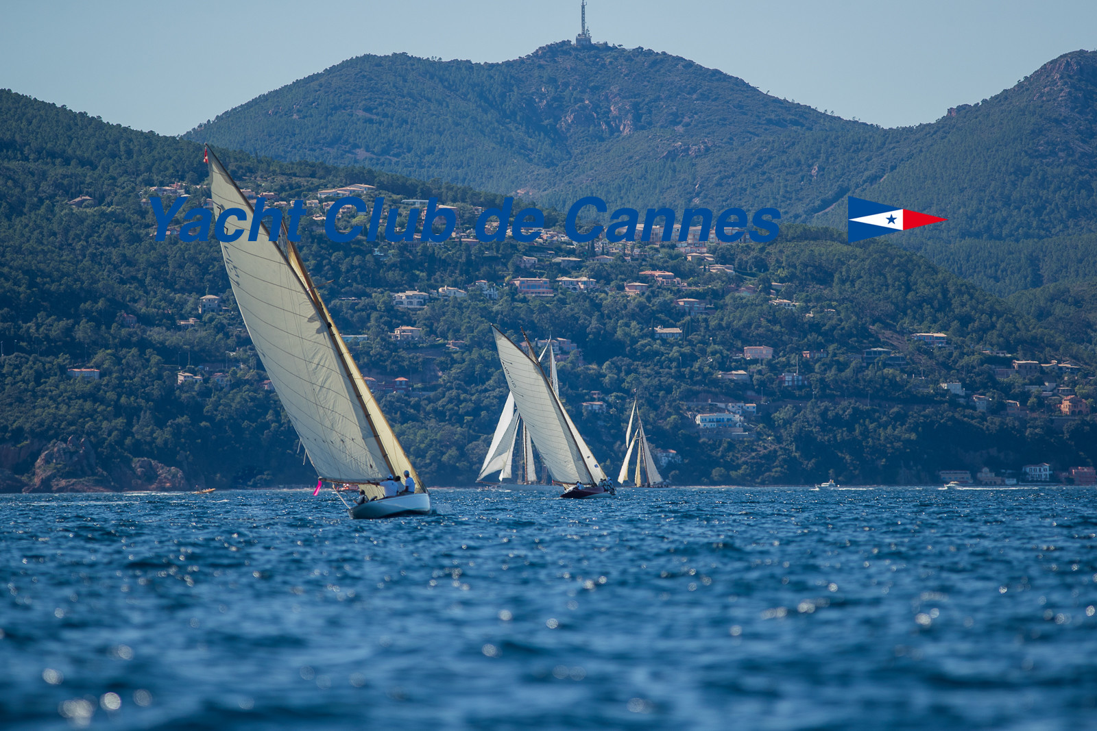 Régates Royales 2020