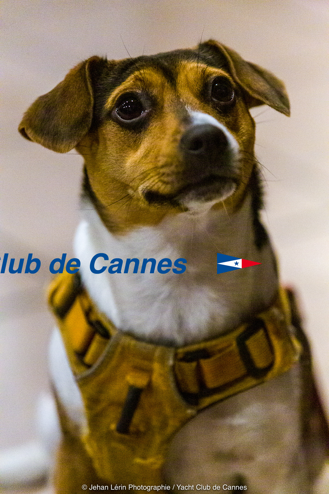 Voeux du President_YCC_JL_5D3_15 01 2020-0031.jpg Voeux du President_YCC_JL_5D3_15 01 2020-0031.jpg