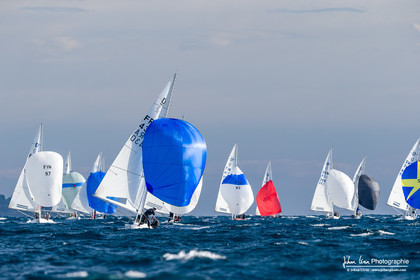 Armistice Cup Dragon 2022