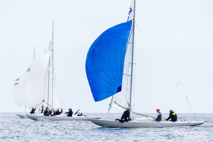 Coupe du Commodore Dragon