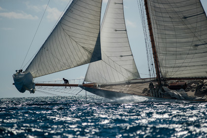 Régates Royales 2020