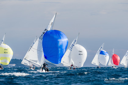 Armistice Cup Dragon 2022