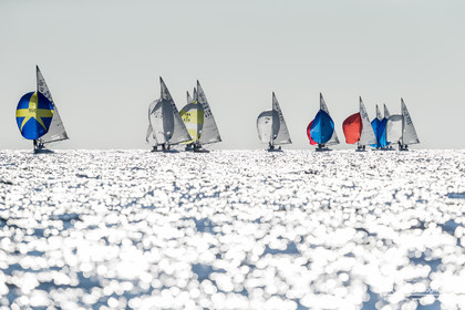 Coupe de l'Amitié Dragon 2023