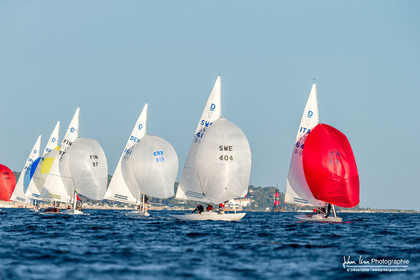 Armistice Cup Dragon 2022