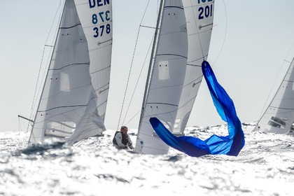 Armistice Cup Dragon 2022