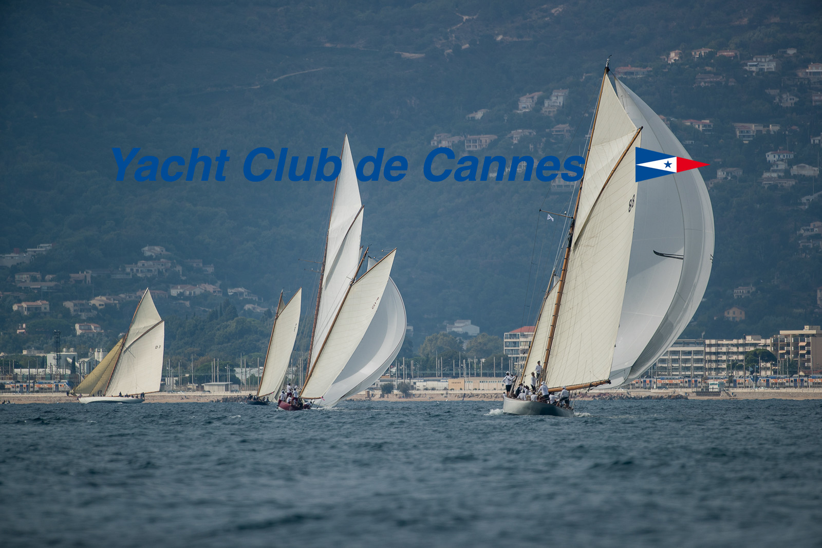 Régates Royales 2020