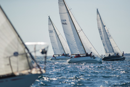 Régates Royales 2020