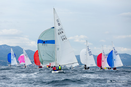 Armistice Cup Dragon 2022