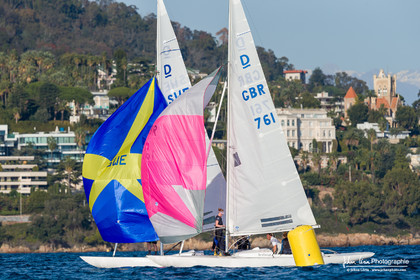 Armistice Cup Dragon 2022