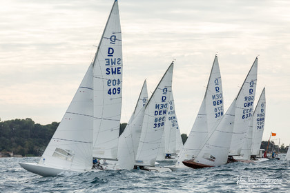 Armistice Cup Dragon 2022