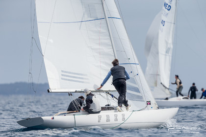 Coupe du Commodore Dragon